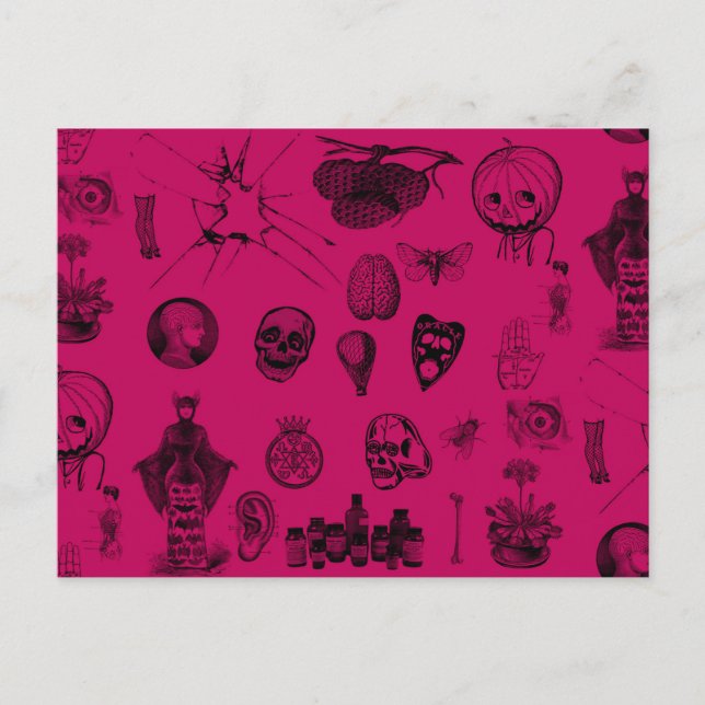 Carte Postale Apothécaire (Devant)