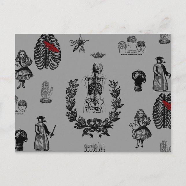 Carte Postale Apothécaire (Devant)