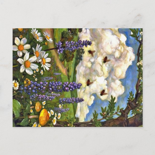 Carte Postale Appalachian Animals  (Devant)