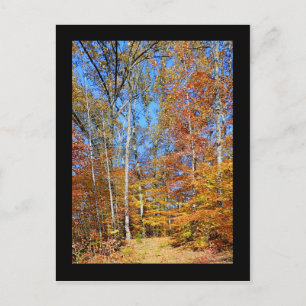 Carte Postale Appalachian Trail Autumn, Fall Scenery Postcard
