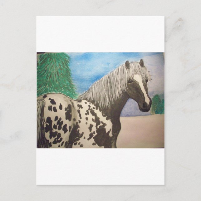 Carte Postale Appaloosa hiver (Devant)