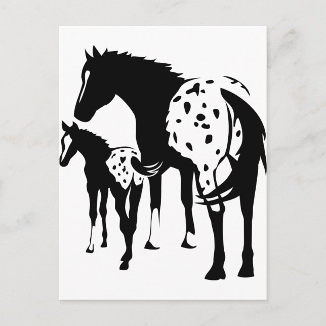 Carte Postale Appaloosa Mare et Foie (Devant)