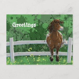 Carte Postale Appaloosa Painted Pony