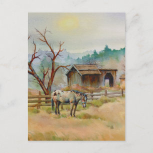 Carte Postale APPALOOSA par SHARON SHARPE