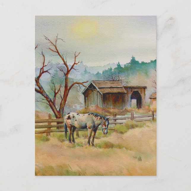 Carte Postale APPALOOSA par SHARON SHARPE (Devant)