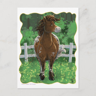 Carte Postale Appaloosa Pony