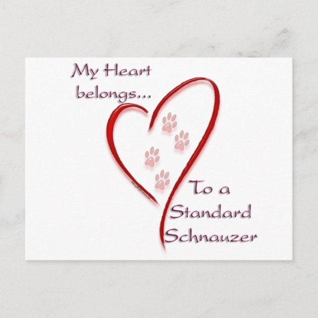 Carte Postale Appartenances cardiaques Schnauzer standard (Devant)