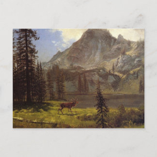 Carte Postale Appel du Far
