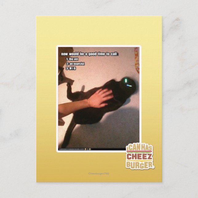 Carte Postale Appel MIB (Devant)