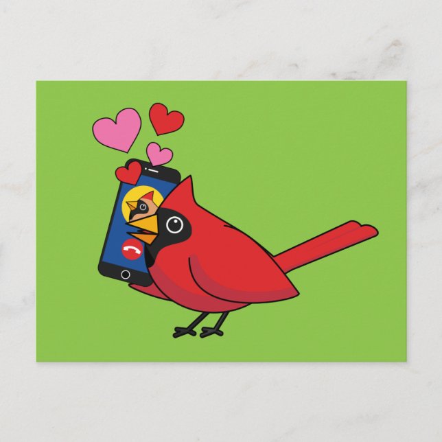 Carte Postale Appels d'accouplement Cardinal Bird Love (Devant)