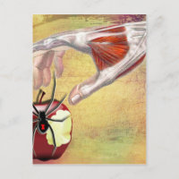 APPLE.jpg D'ADAM
