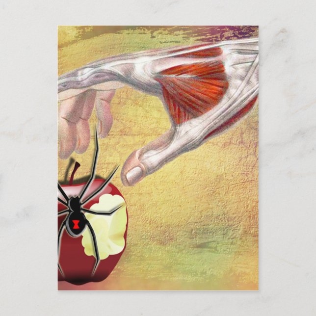 Carte Postale APPLE.jpg D'ADAM (Devant)
