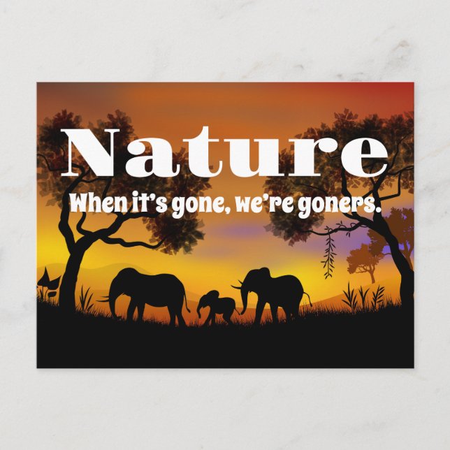 Carte Postale Apprécier la nature et les éléphants (Devant)
