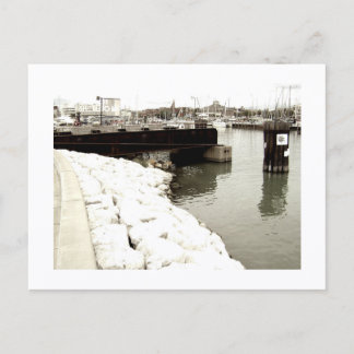 Carte Postale Approachable Wolf Post Card Print