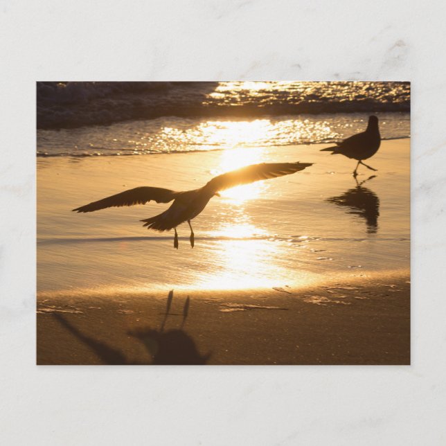 Carte Postale Approche d'atterrissage (Devant)