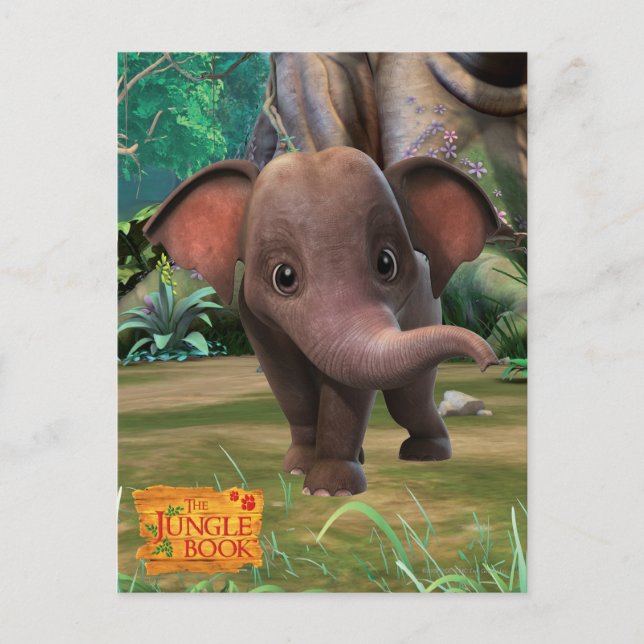 Carte Postale Appu (Devant)