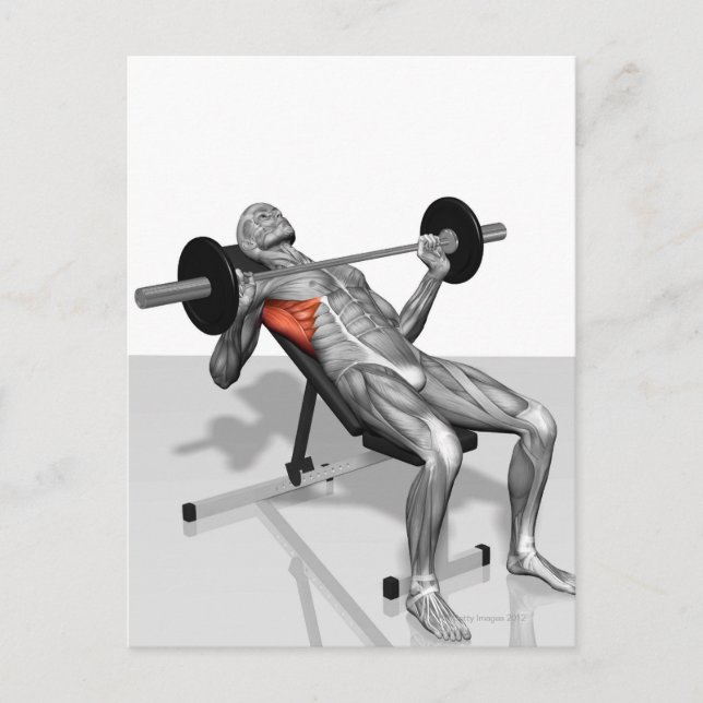 Carte Postale Appuie-banc inclinée 2 (Devant)