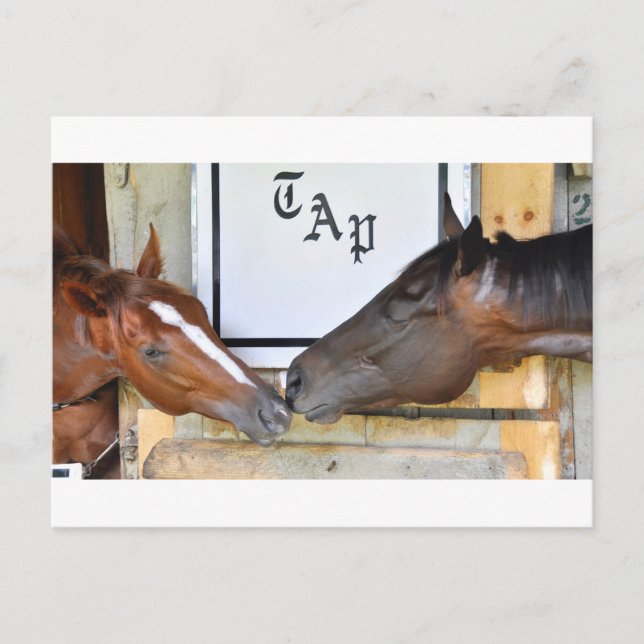 Carte Postale Appuyez Sur Moi Pour Éteindre (Devant)