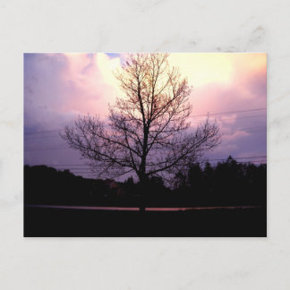 Carte Postale Après La Pluie