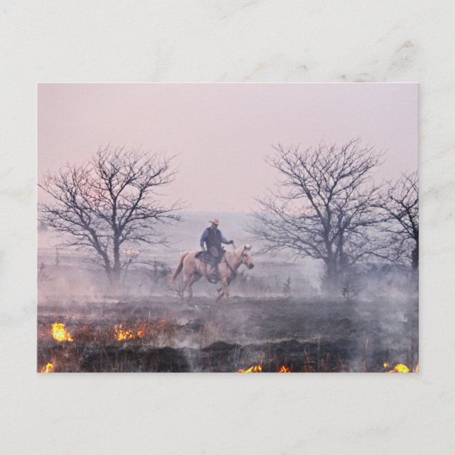 Carte Postale Après le feu des Prairies, Flint Hills, Kansas (Devant)