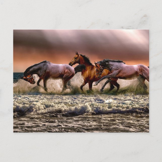 Carte Postale Après-Midi Amusant Dans Le Surf (Devant)