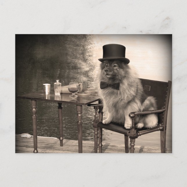 Carte Postale Après-midi de Keeshond Gentleman (Devant)