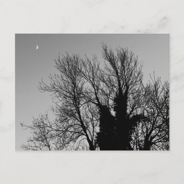 Carte Postale Après-midi médiéval d'hiver (Devant)