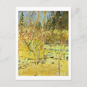 Carte Postale Apricot en Fleur, Van Gogh Art