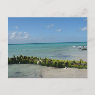 Carte Postale Aqua Serenity