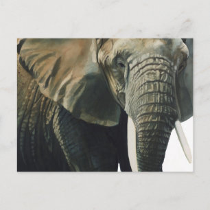 Carte Postale Aquarelle animale "éléphante"