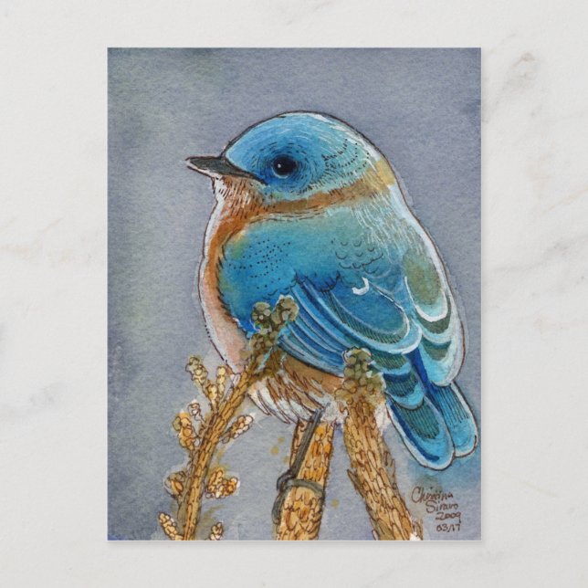 Carte Postale Aquarelle Bluebird (Devant)
