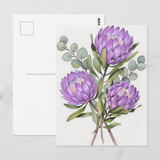 Carte Postale Aquarelle botanique de protée lavande (Devant / Derrière)