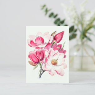 Carte Postale Aquarelle Botanique Rose Magnolia Fleurs