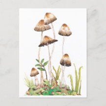 Aquarelle Brown de champignons forestiers