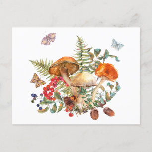Carte Postale Aquarelle Champignons de la Forêt Sauvage, Berries