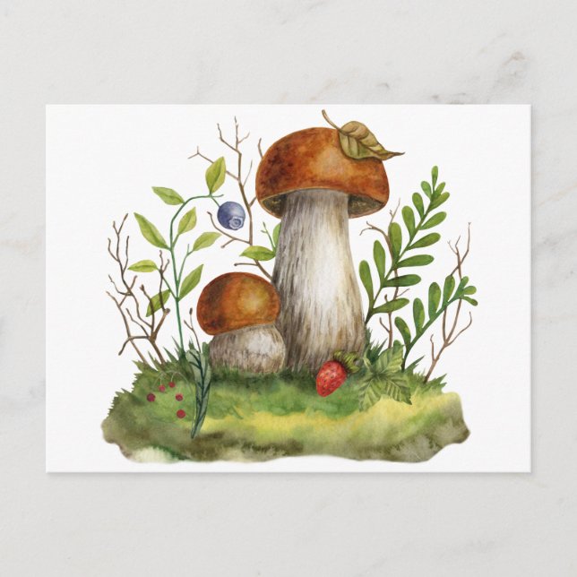 Carte Postale Aquarelle Champignons et Baies de la Forêt Sauvage (Devant)