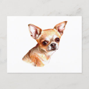 Carte Postale Aquarelle Chihuahua
