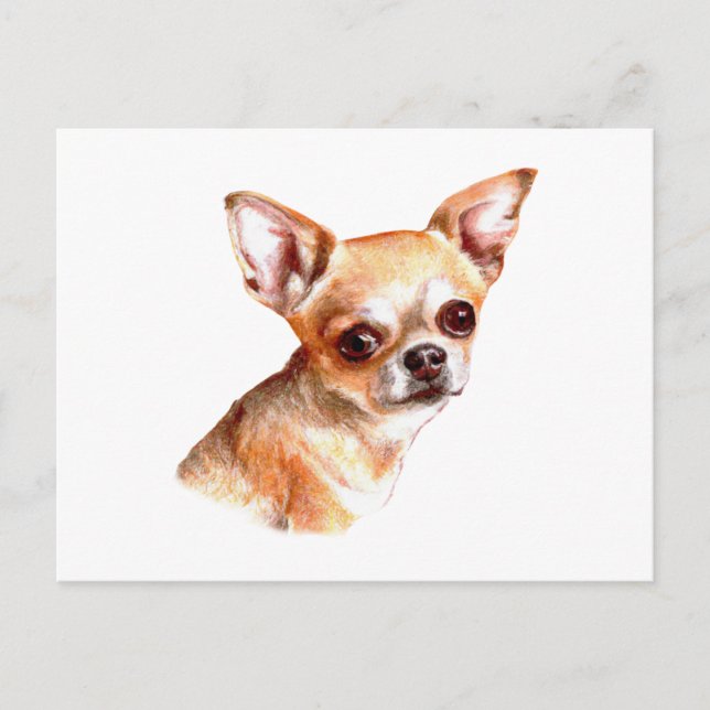 Carte Postale Aquarelle Chihuahua (Devant)