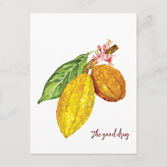 Carte Postale Aquarelle chocolat fruit (Devant)
