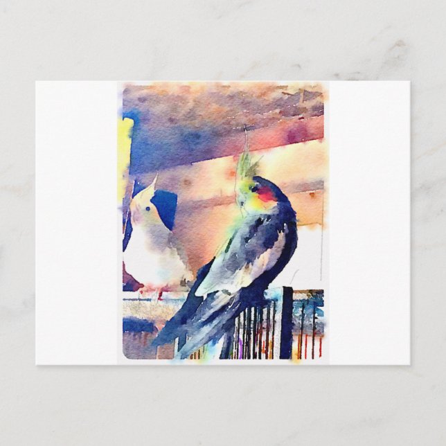 Carte Postale Aquarelle Cockatiel (Devant)