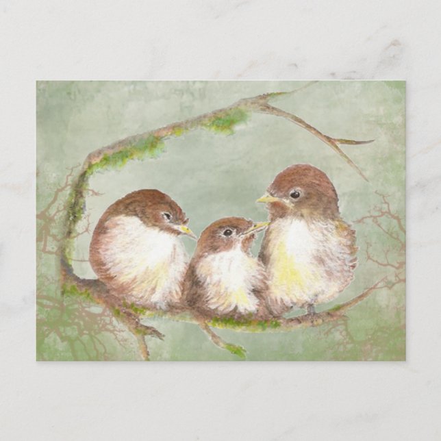 Carte Postale Aquarelle Cuddin Bruant Oiseau Bruant Nature (Devant)