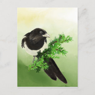 Carte Postale Aquarelle Curieux Magpie Garden Oiseau Wildife Art