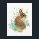 Carte Postale Aquarelle Cute Lapin Lapin Art animal<br><div class="desc">watercolor Cute Bunny Lapin</div>