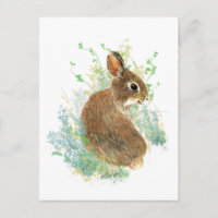 Aquarelle Cute Lapin Lapin Art animal