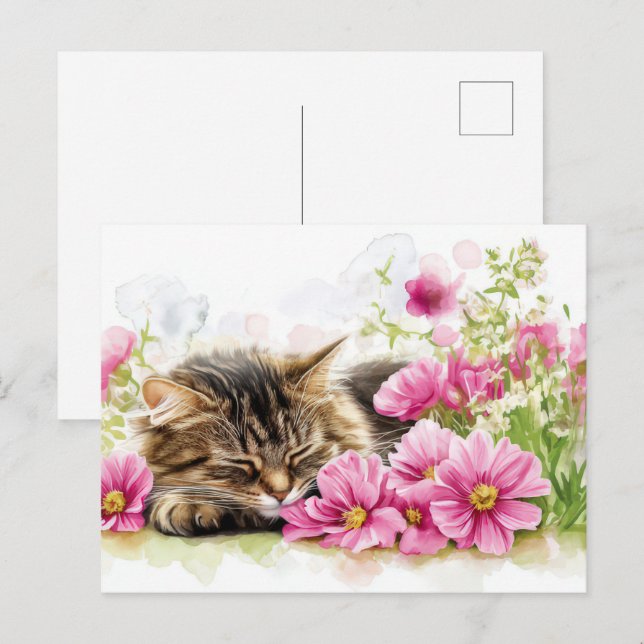Carte postale aquarelle de chat  (Devant / Derrière)