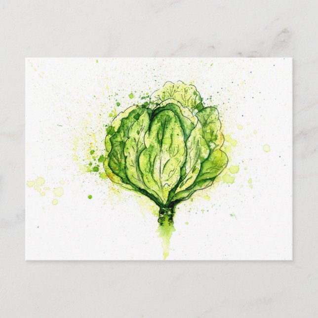 Carte Postale Aquarelle de chou vert (Devant)