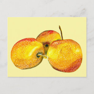 Carte Postale Aquarelle de fruit jaune perruque