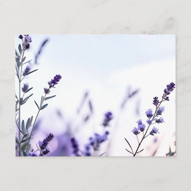 Carte Postale Aquarelle de lavande romantique (Devant)