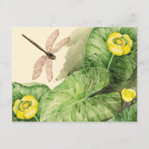 Carte Postale aquarelle de nénuphar