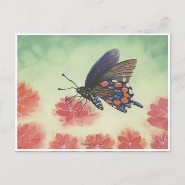 Carte Postale Aquarelle de papillon (Devant)